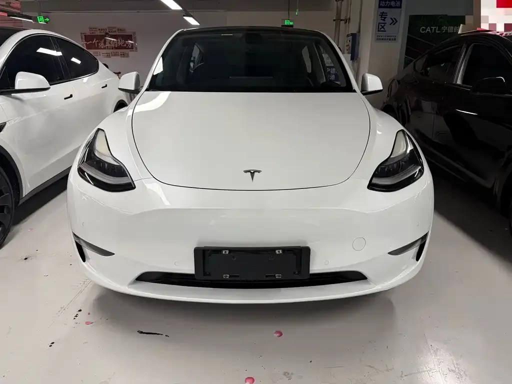 Tesla Model Y — фото 5