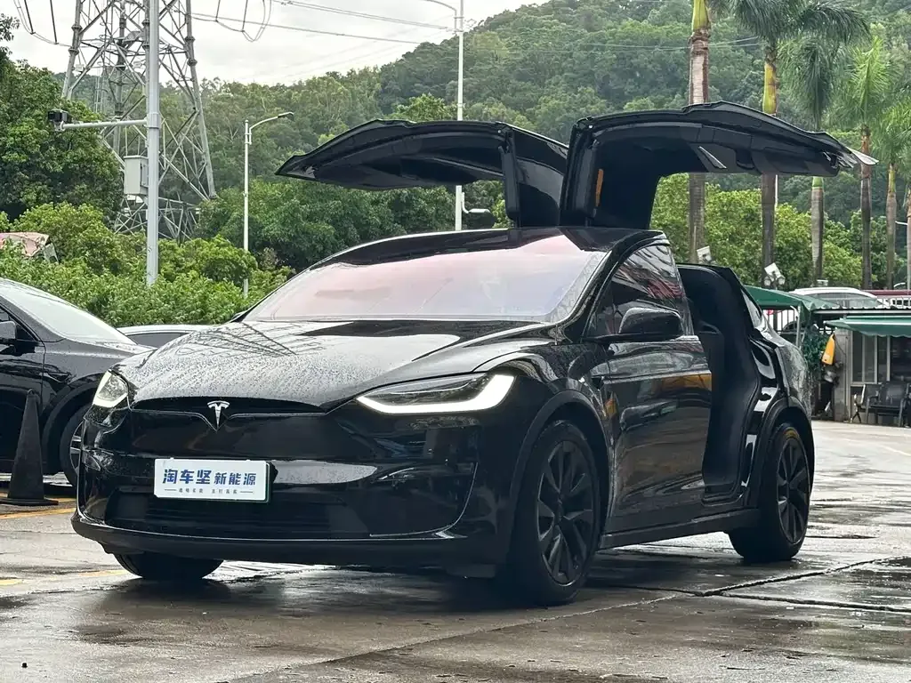 Tesla Model X — фото 1