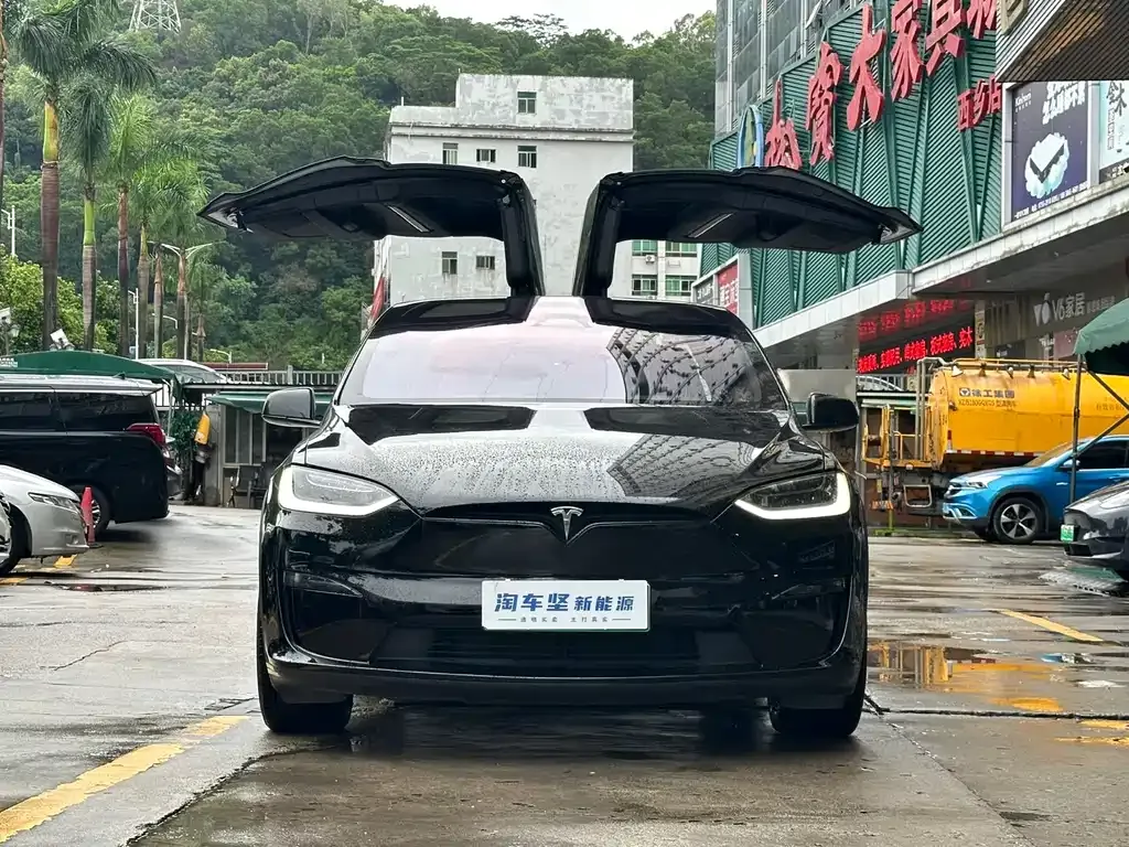 Tesla Model X — фото 7