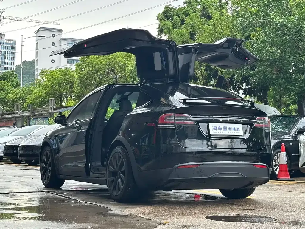 Tesla Model X — фото 4