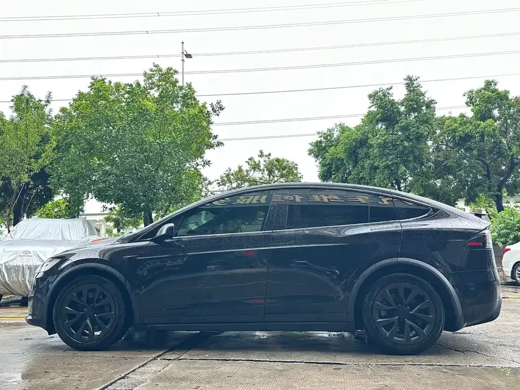 Tesla Model X — фото 10