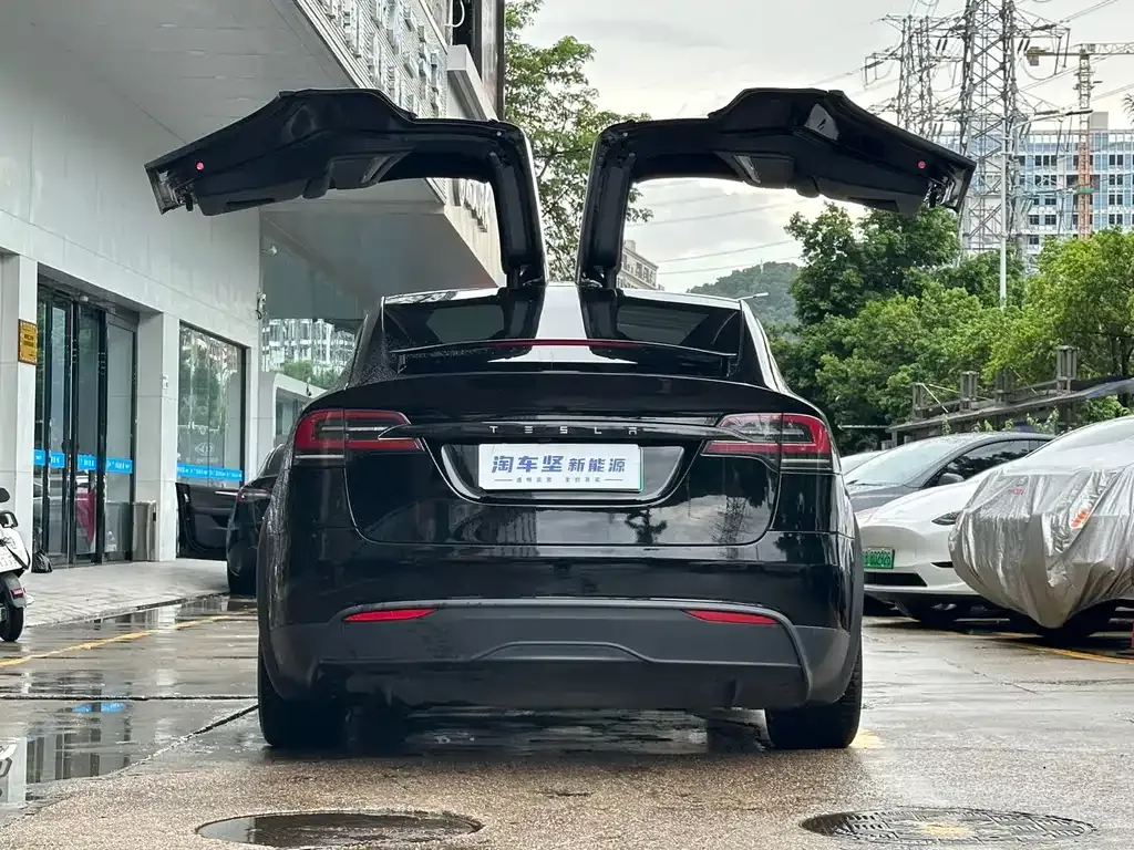 Tesla Model X — фото 8