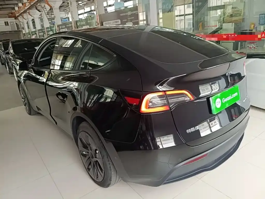 Tesla Model Y — фото 8