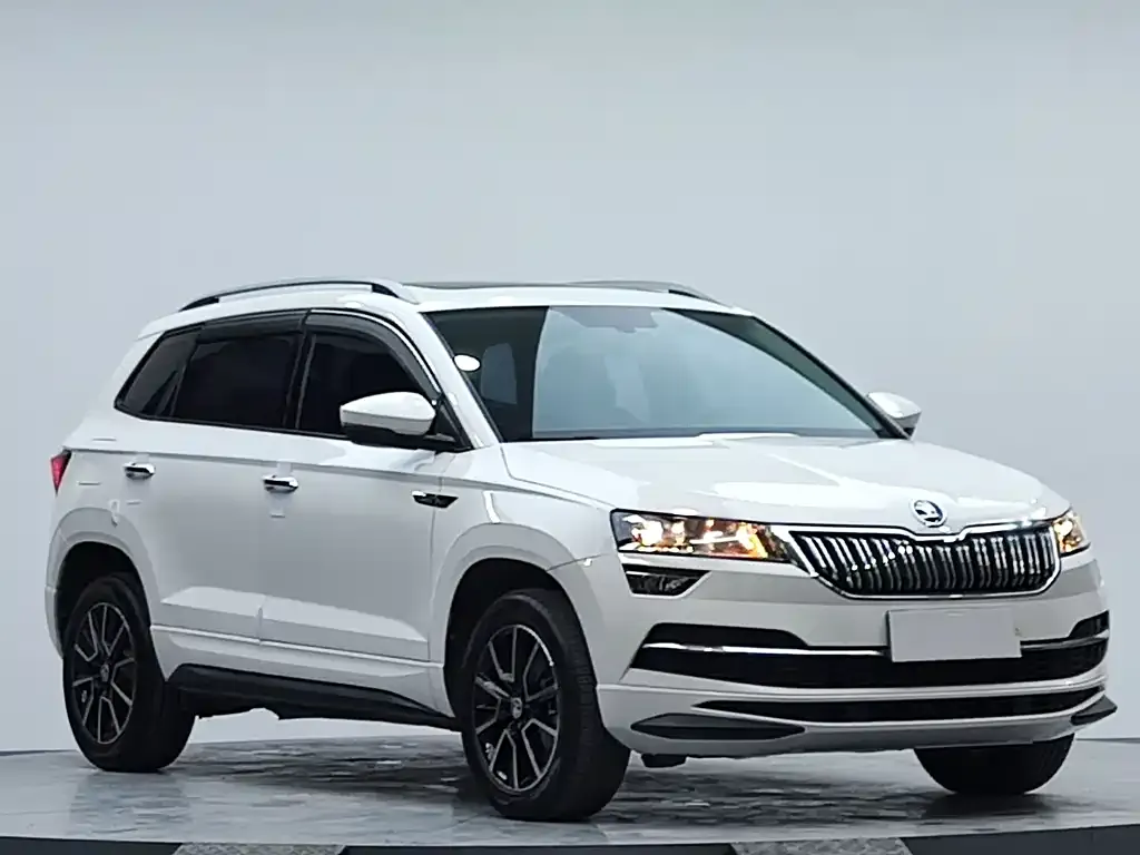Skoda Karoq — фото 3