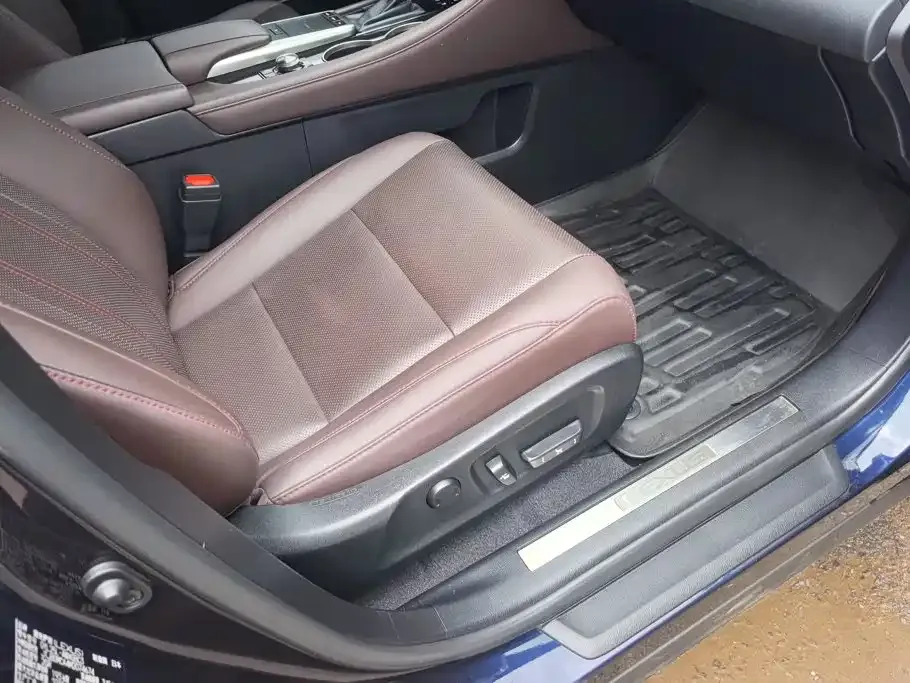 Lexus RX — фото 10