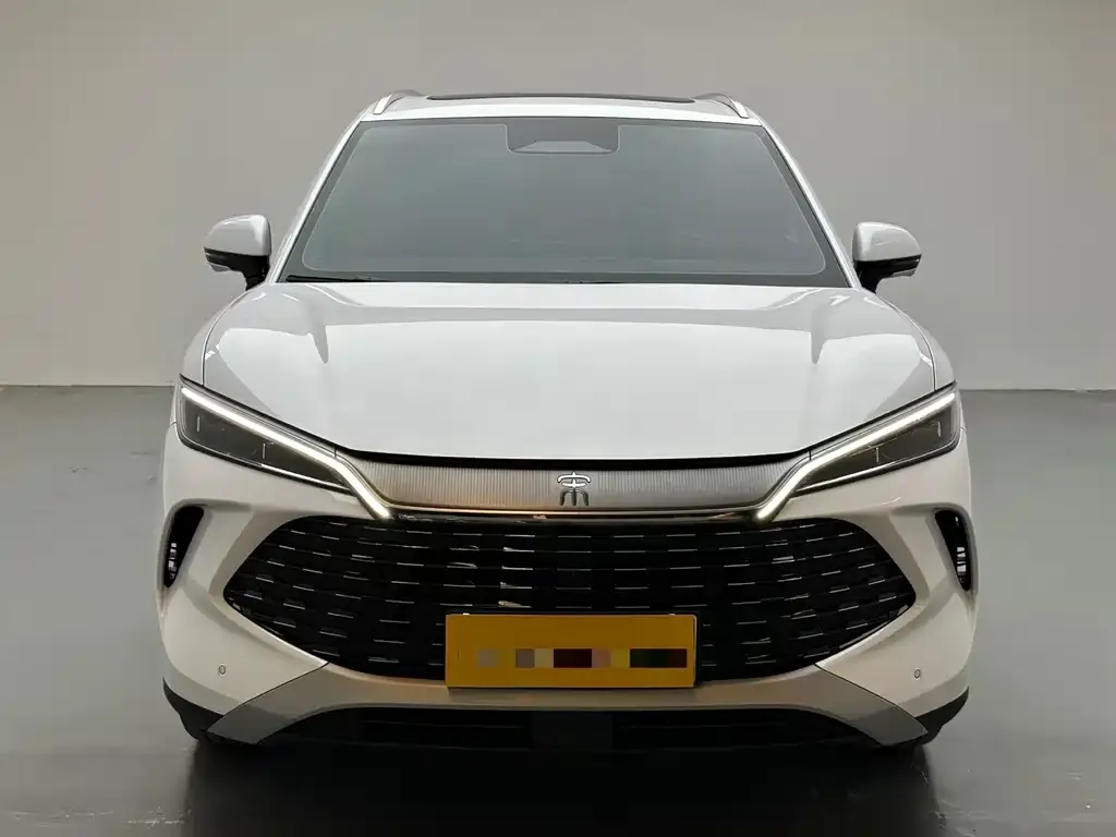 BYD L DM-i — фото 2