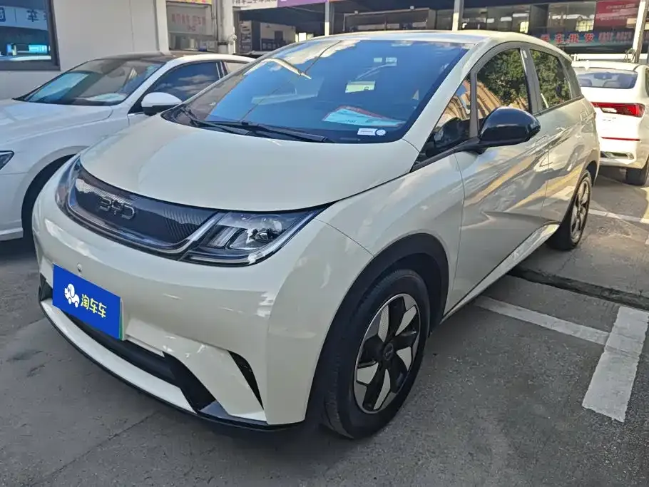 BYD Dolphin