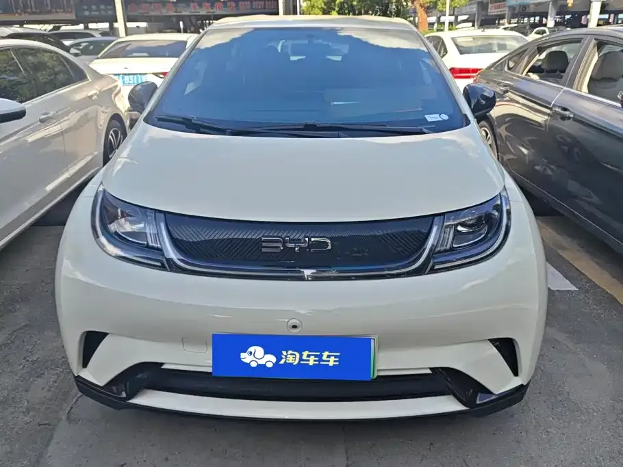 BYD Dolphin 2024 из CN, фото 9