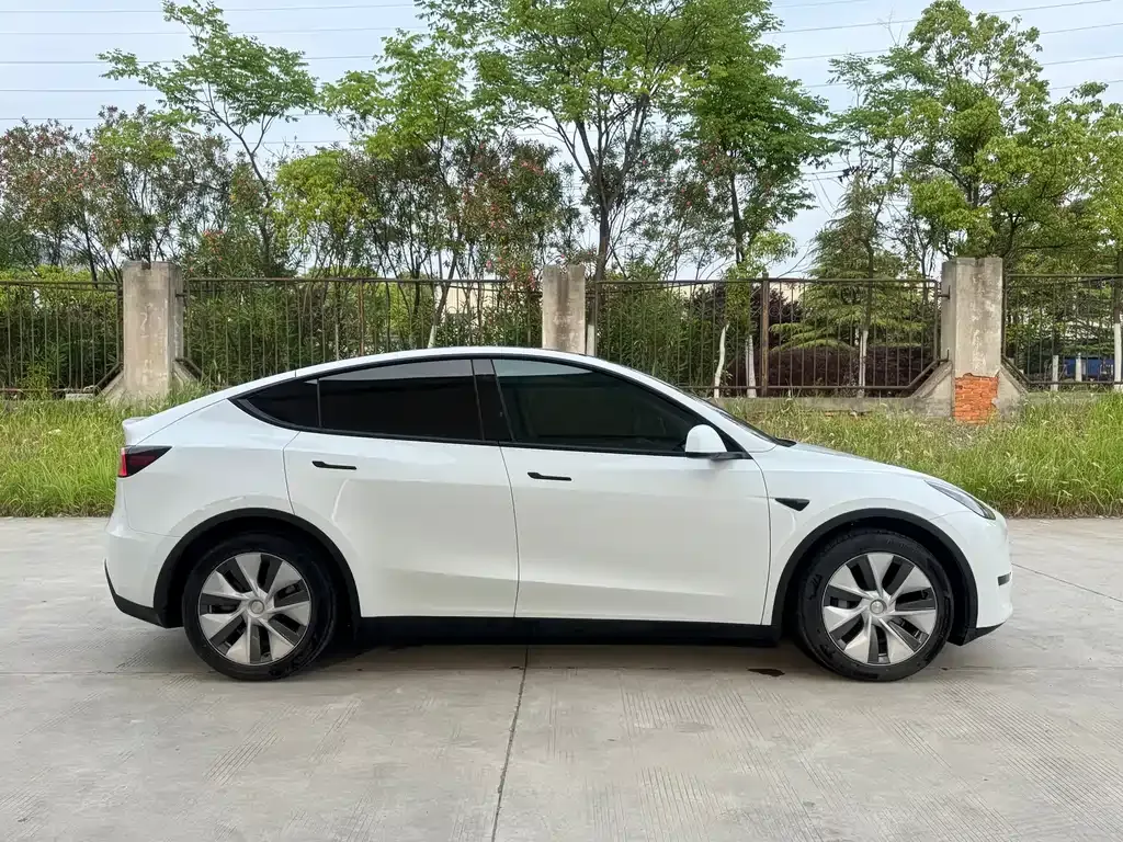 Tesla Model Y — фото 9