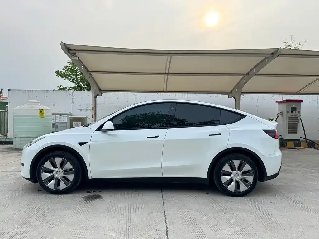 Tesla Model Y — фото 5