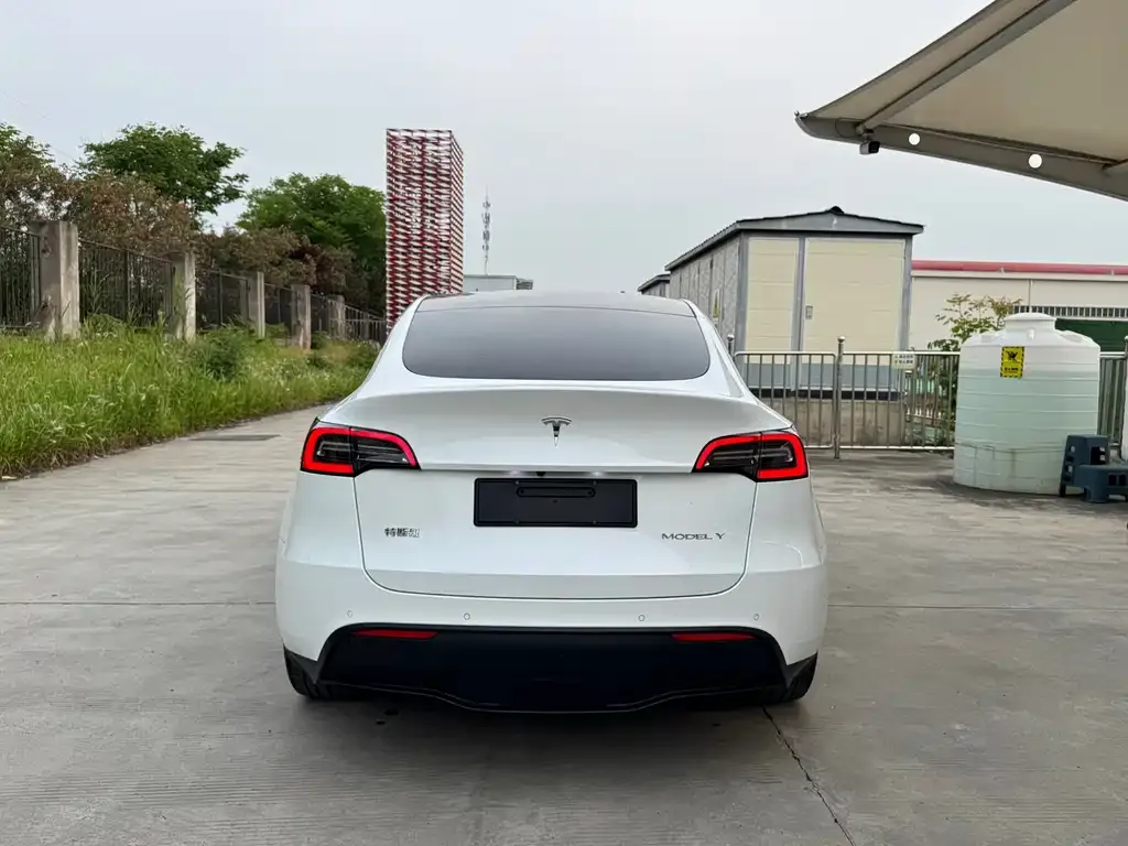 Tesla Model Y — фото 6