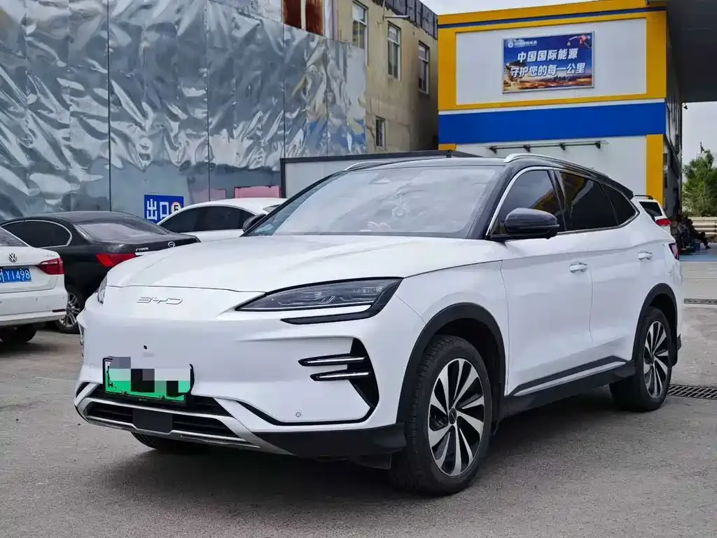 BYD PLUS New Energy — фото 1