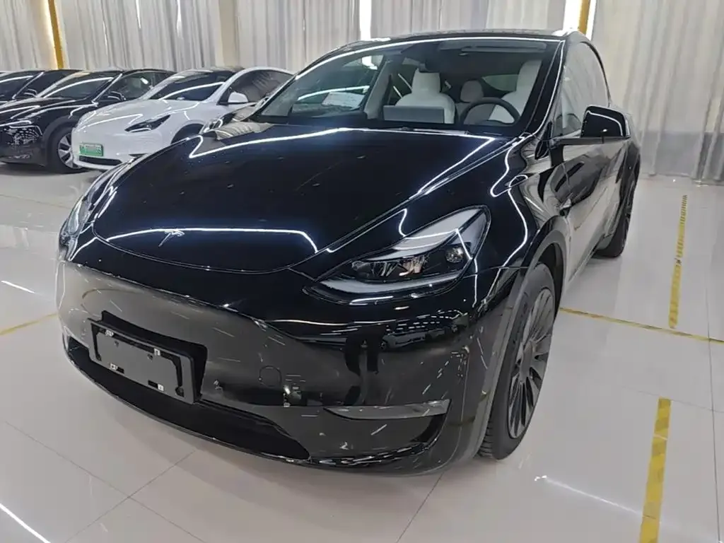 Tesla Model Y — фото 1