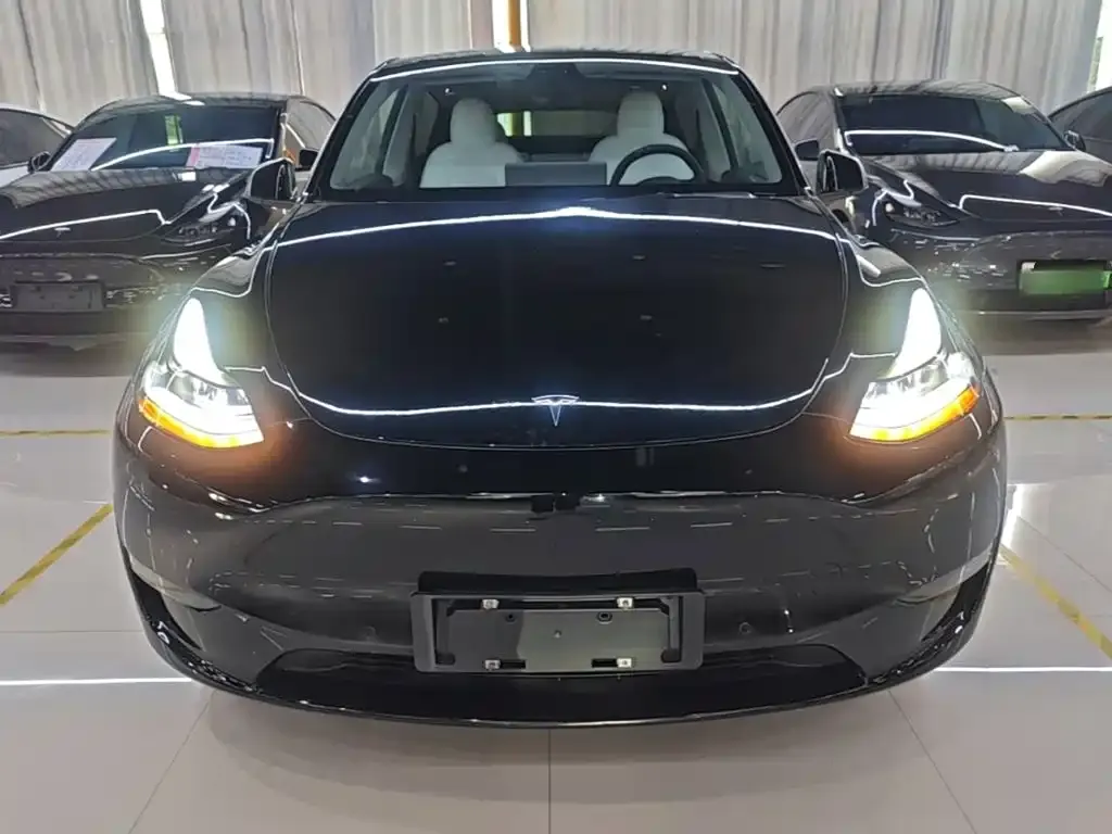 Tesla Model Y — фото 8