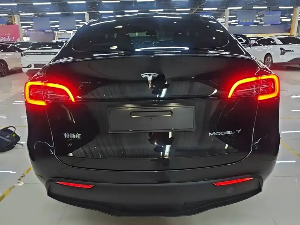 Tesla Model Y — фото 10