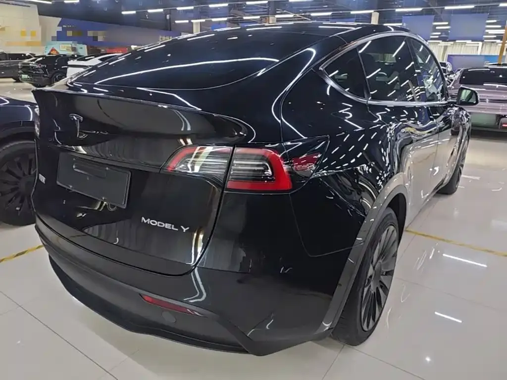Tesla Model Y — фото 9