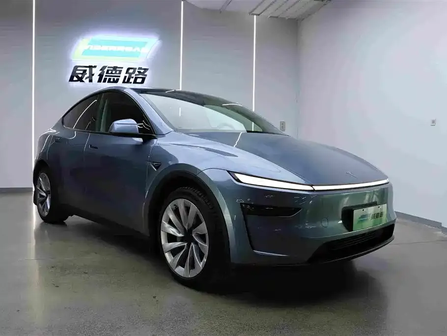 Tesla Model Y — фото 10