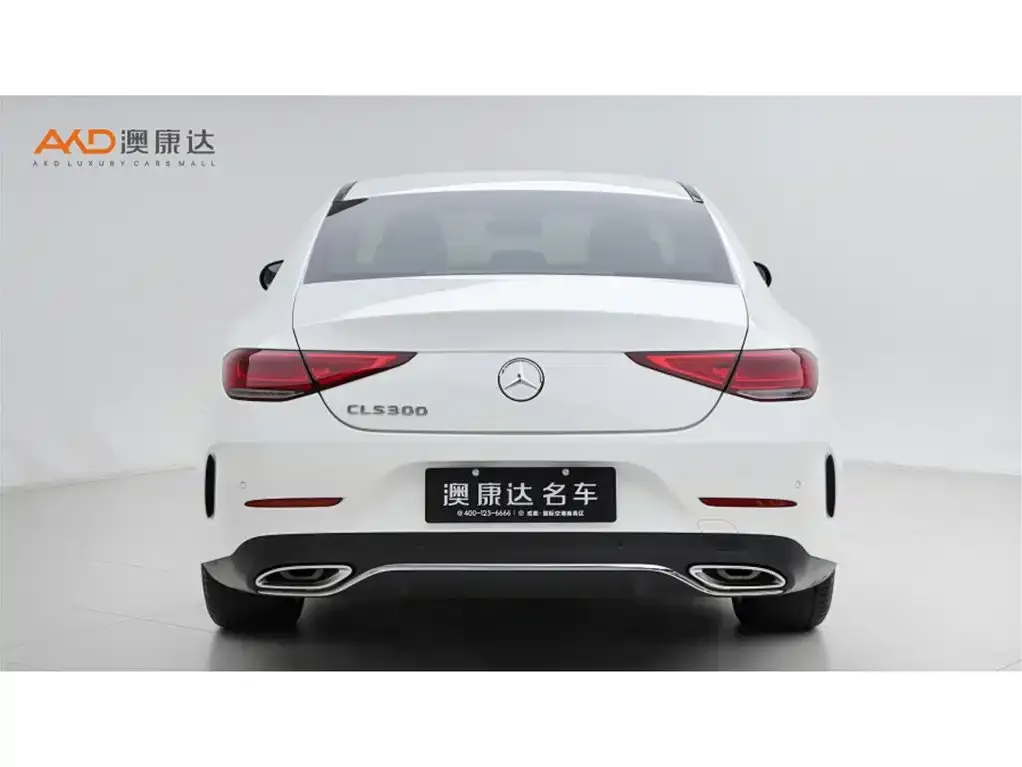 Mercedes-Benz CLS 2021 из CN, фото 2