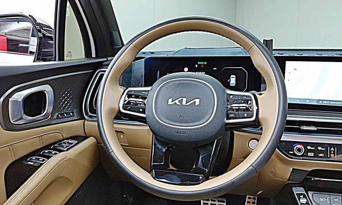 Kia Sorento — фото 8