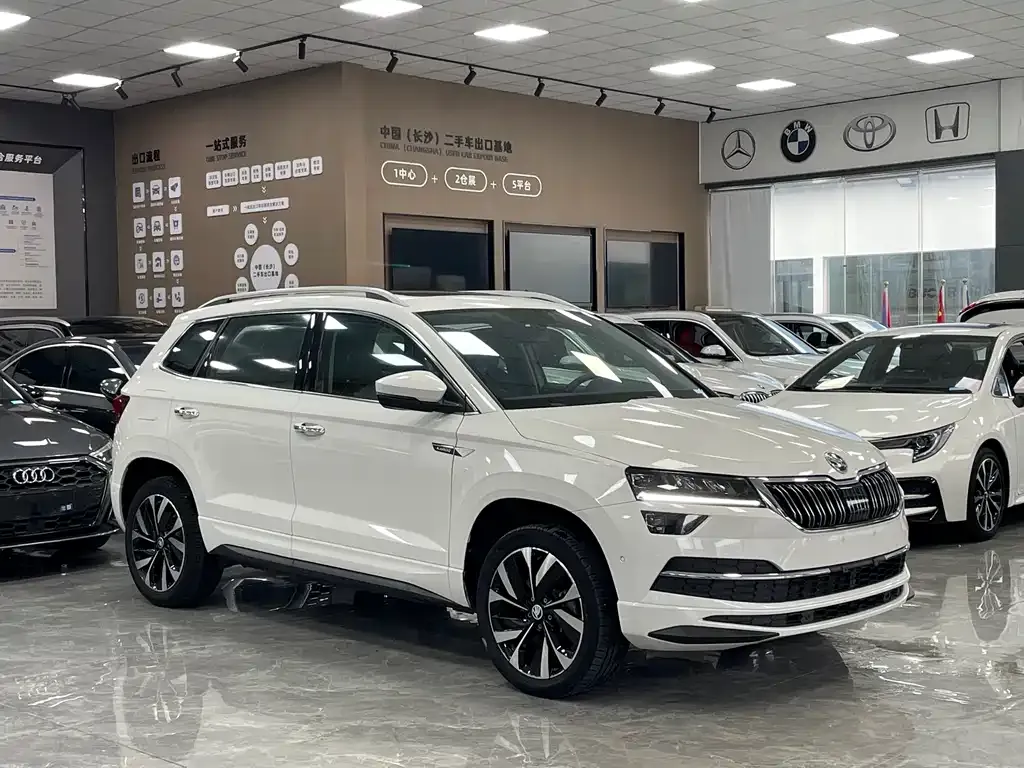 Skoda Karoq — фото 8