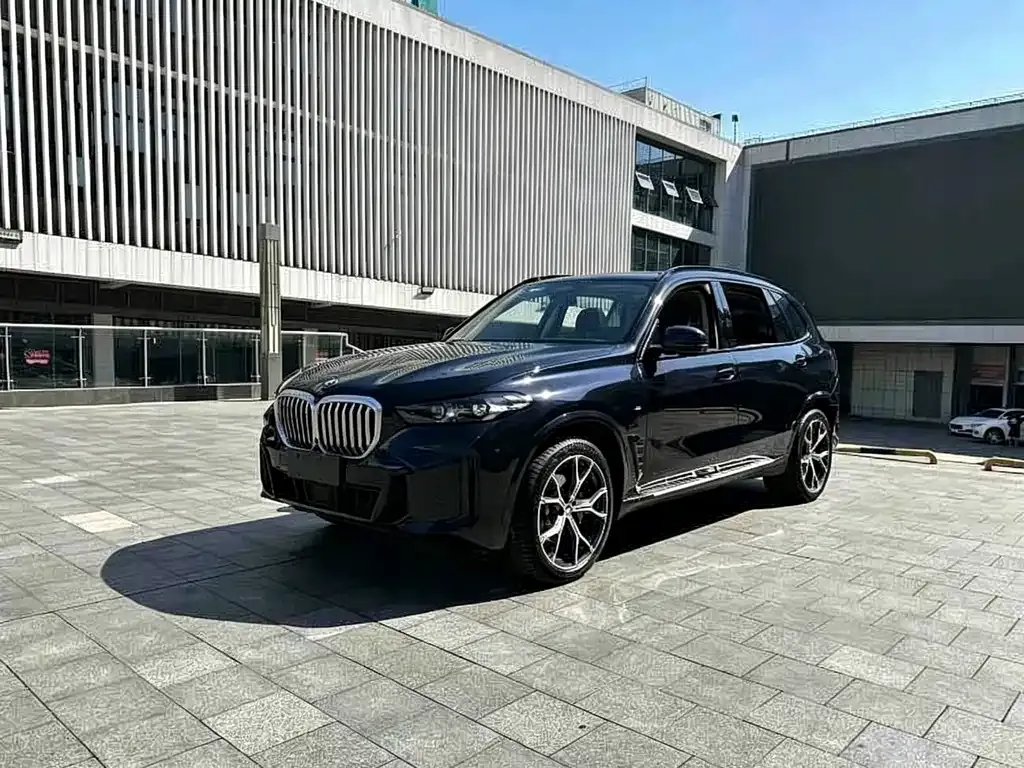 BMW X5 — фото 1