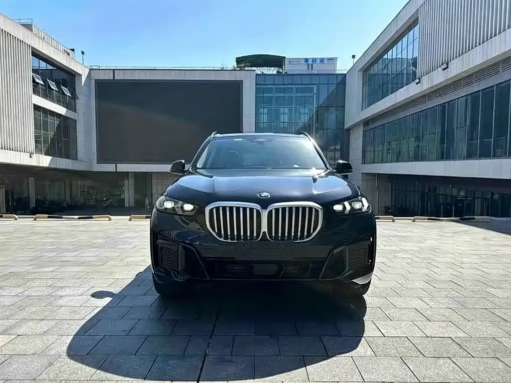 BMW X5 — фото 8