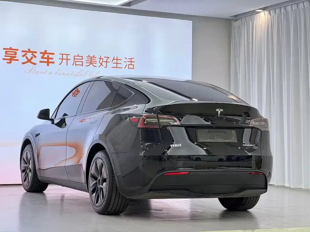 Tesla Model Y — фото 2