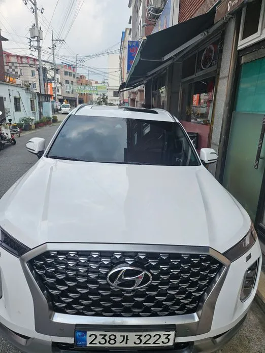 Hyundai Palisade — фото 7