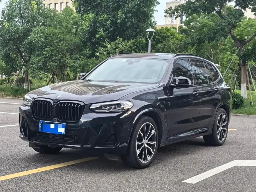 BMW X3 — фото 1