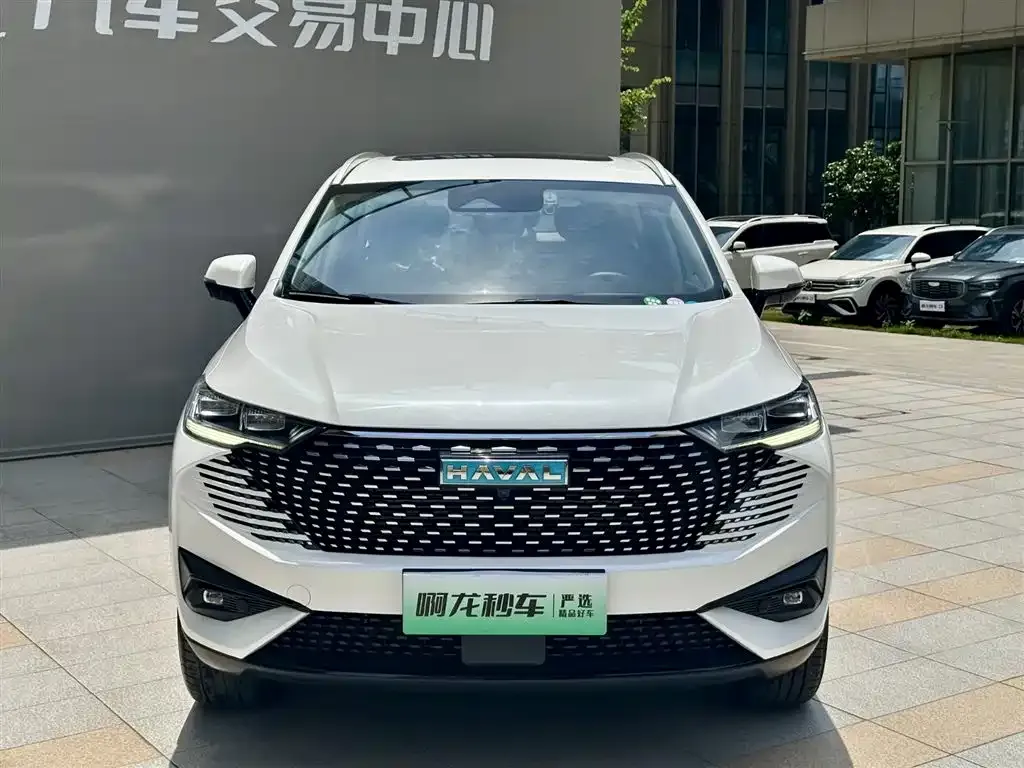 Haval H6 New Energy — фото 5