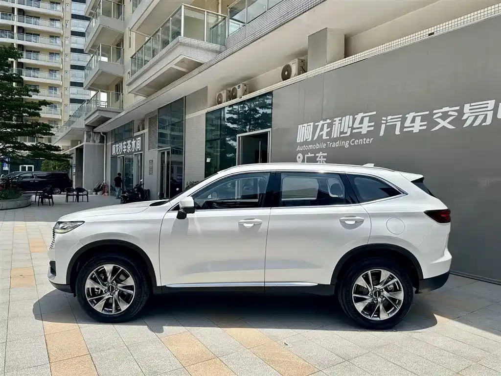 Haval H6 New Energy — фото 10