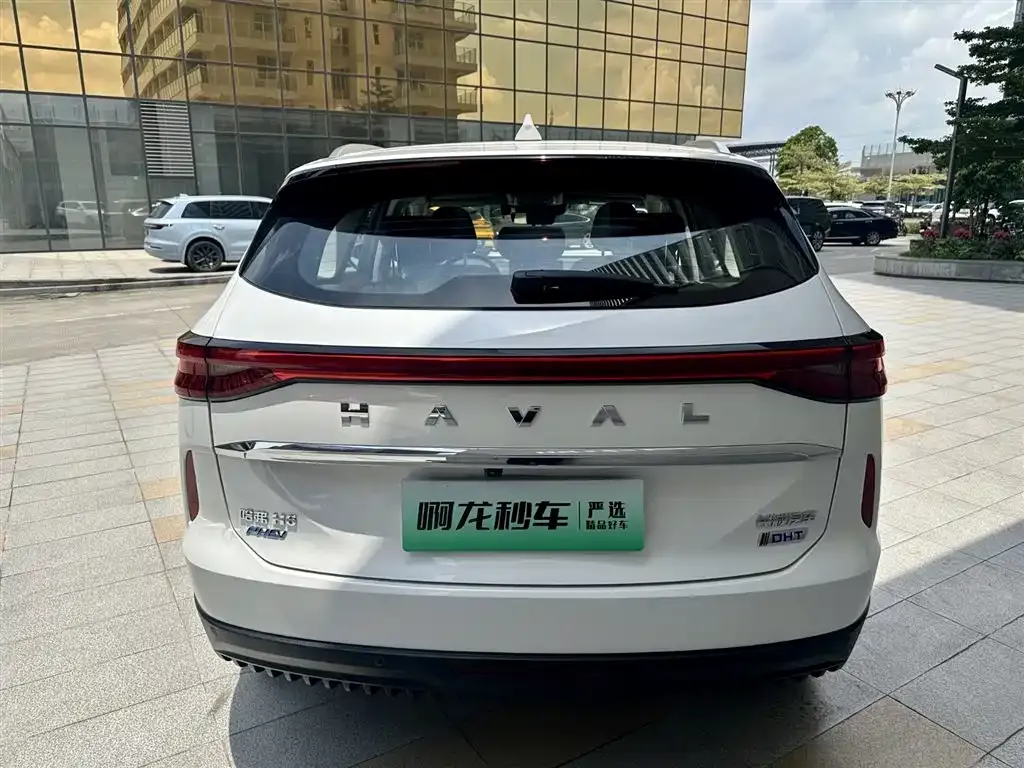Haval H6 New Energy — фото 4
