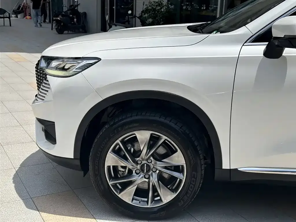 Haval H6 New Energy — фото 9