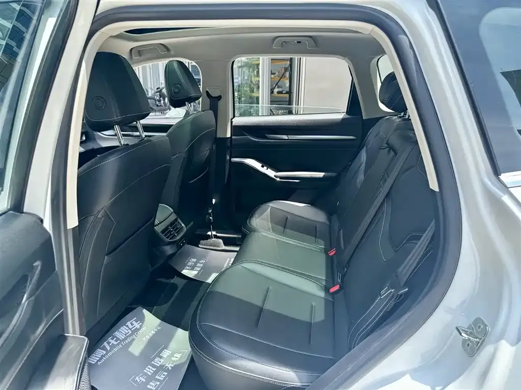 Haval H6 New Energy — фото 3