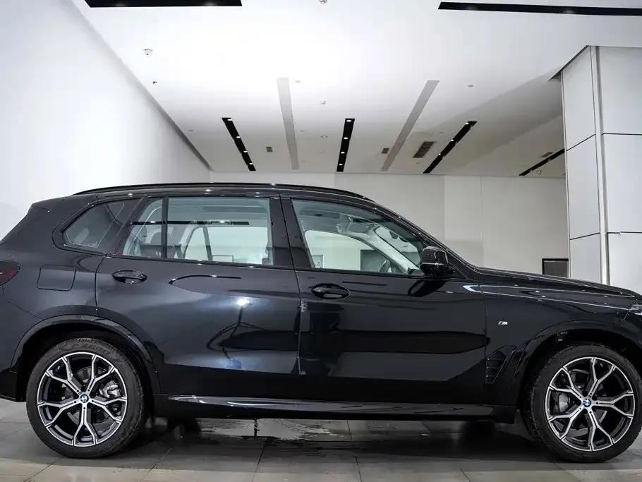 BMW X5 — фото 10