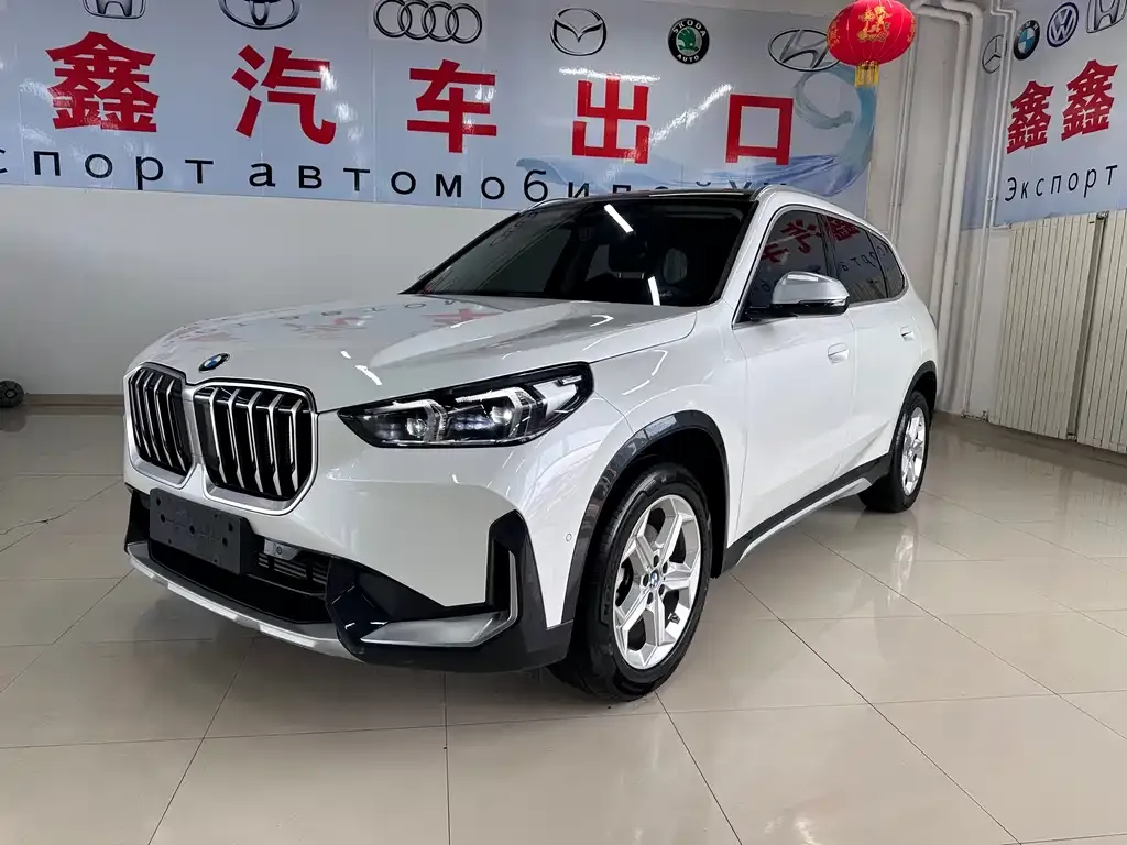 BMW X1 — фото 1