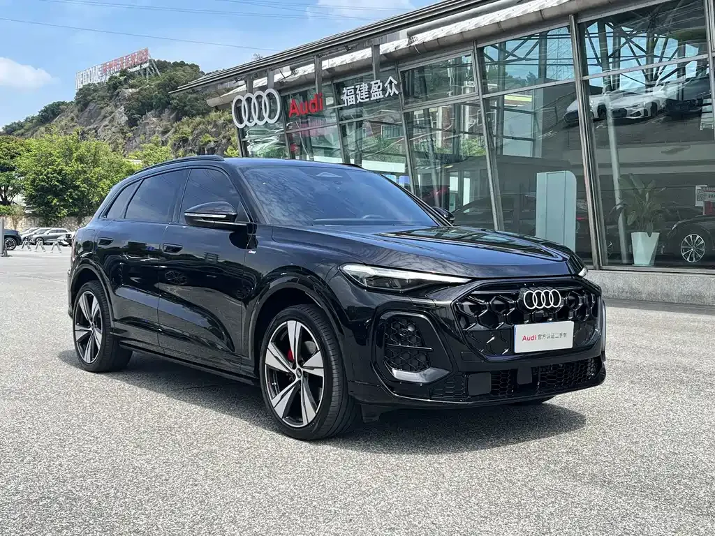 Audi Q5L — фото 9