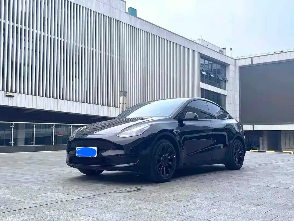 Tesla Model Y — фото 1