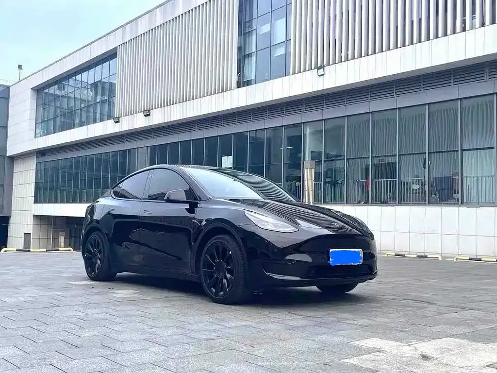Tesla Model Y — фото 8