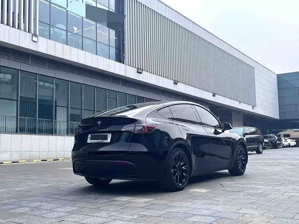 Tesla Model Y — фото 9