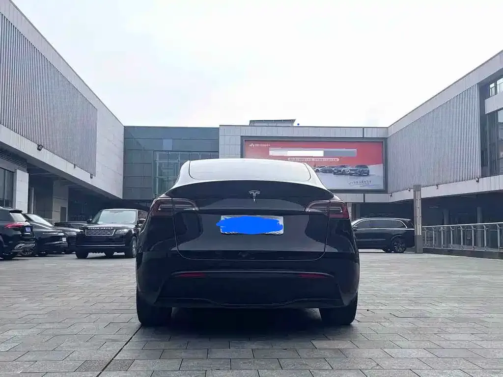 Tesla Model Y — фото 2