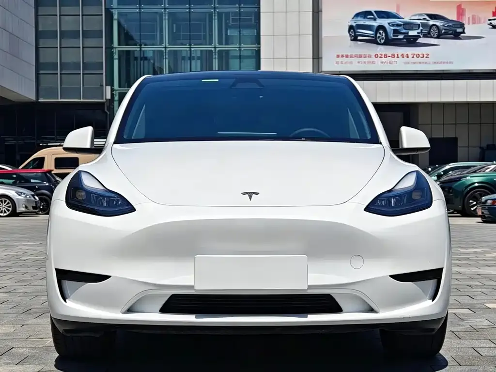 Tesla Model Y — фото 3