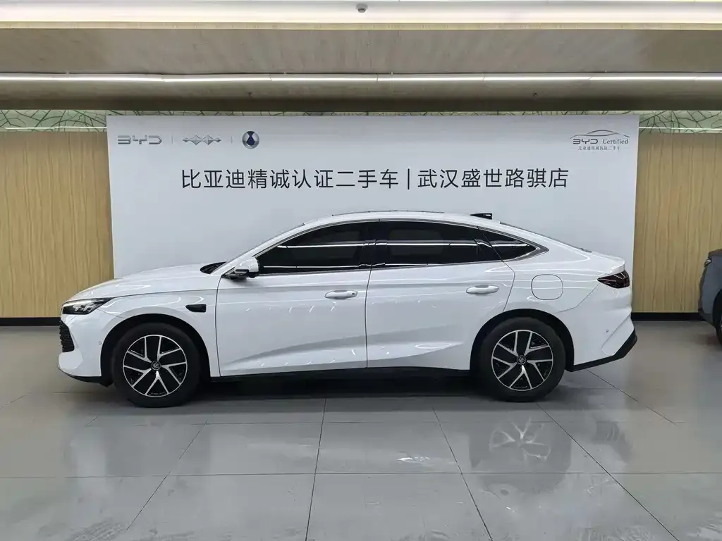 BYD Qin L — фото 3