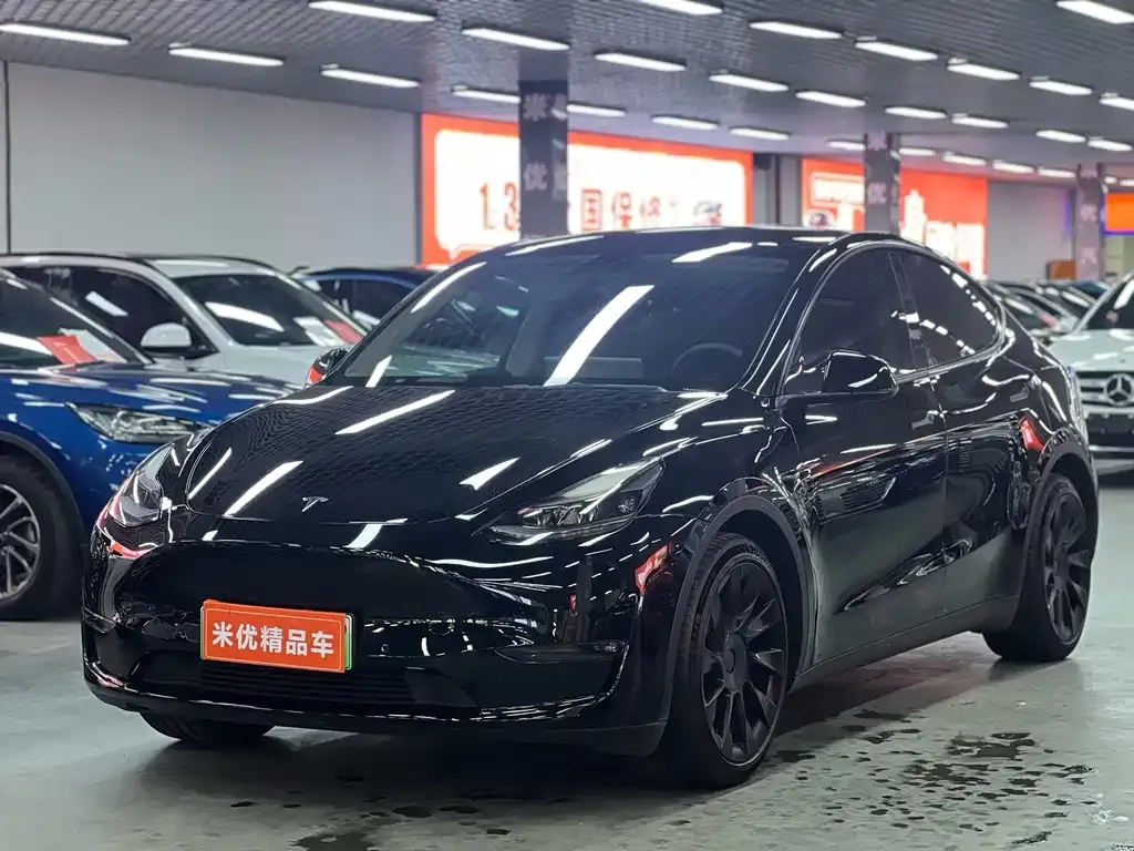 Tesla Model Y — фото 1