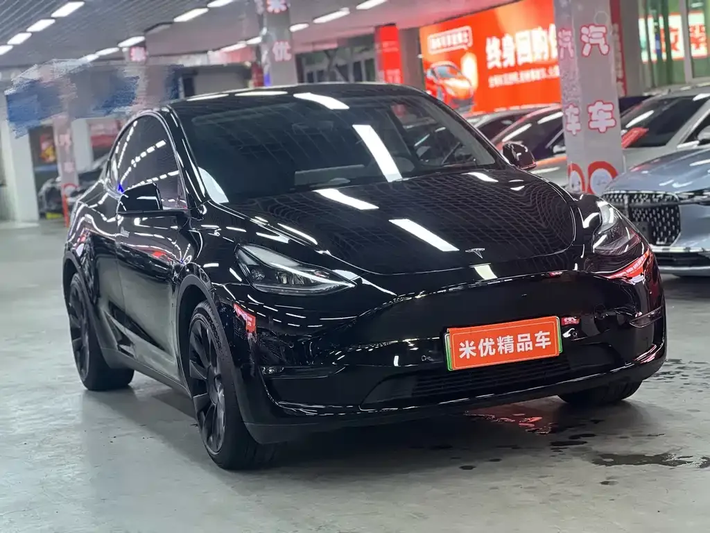 Tesla Model Y — фото 9