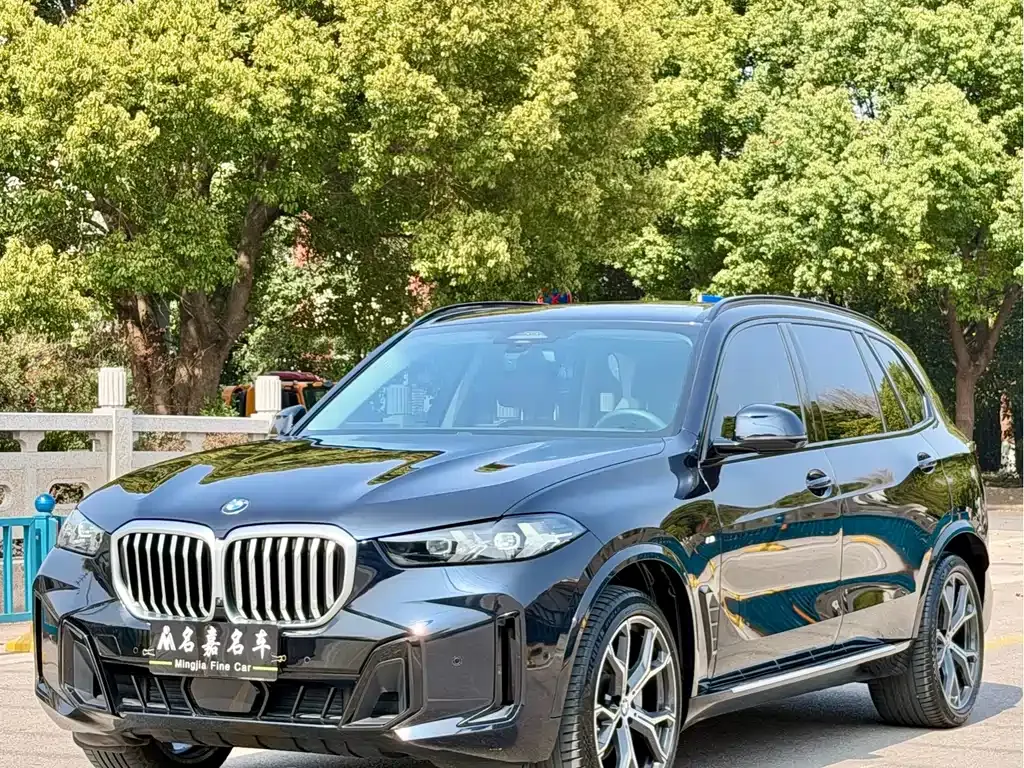 BMW X5 — фото 1