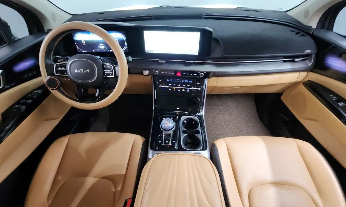 Kia Carnival — фото 10