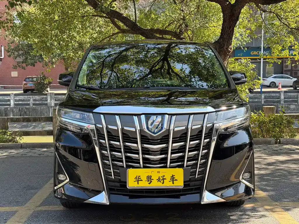 Toyota Alphard — фото 9