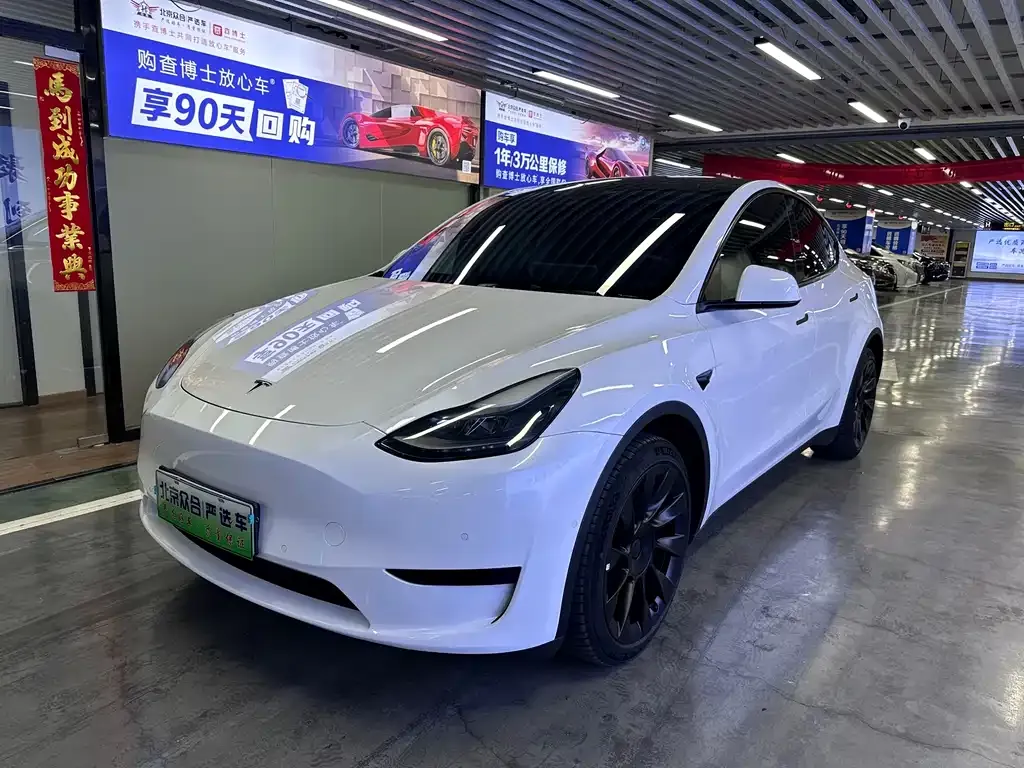 Tesla Model Y — фото 1