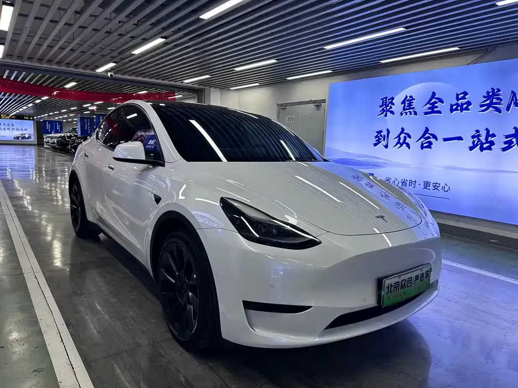 Tesla Model Y — фото 8